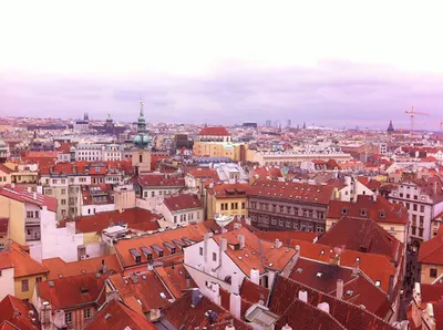 Dach-Deker Nikiel, Stolorz Spółka Jawna